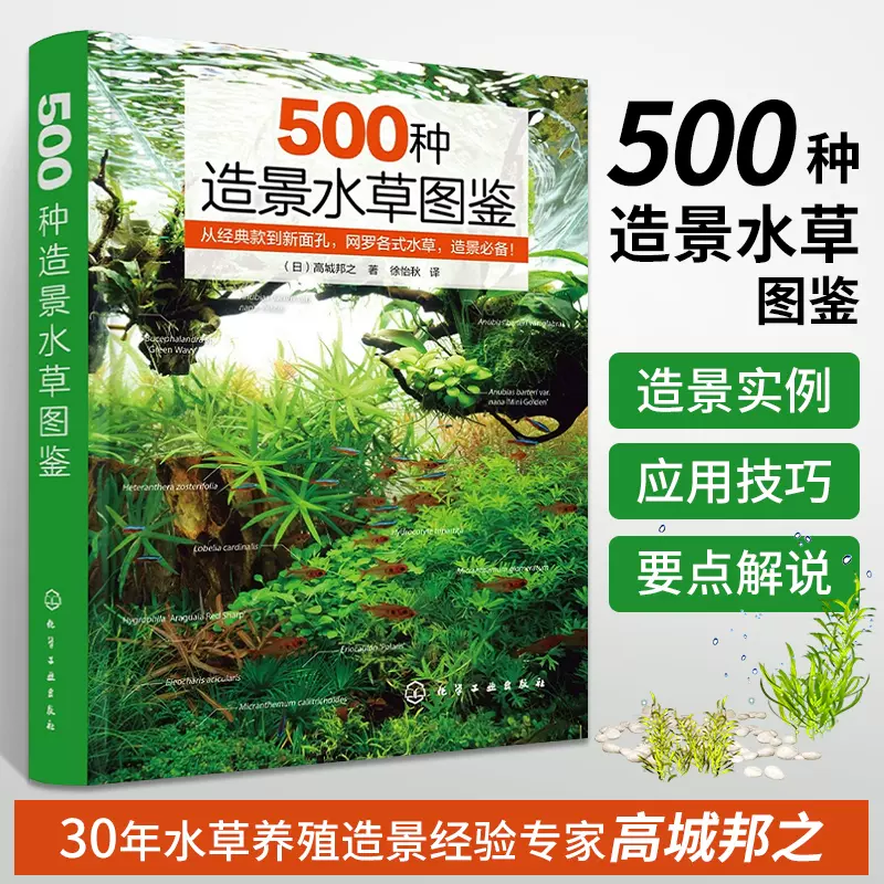 水草缸造景设计从零开始打造唯美水世界从入门到精通一本书学会水草缸造景秘诀零基础水草缸造景指南日本水草造景专家经验书籍