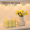 鸡蛋球球纸巾盒-暖黄色+花瓣花瓶