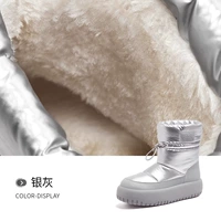 L23W577074 Silver Grey