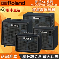 Roland Roland KC-220 400 600 990 Многофункциональный клавиш монитор прослушивания
