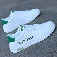 Белый и зеленый 【Y-0295】
