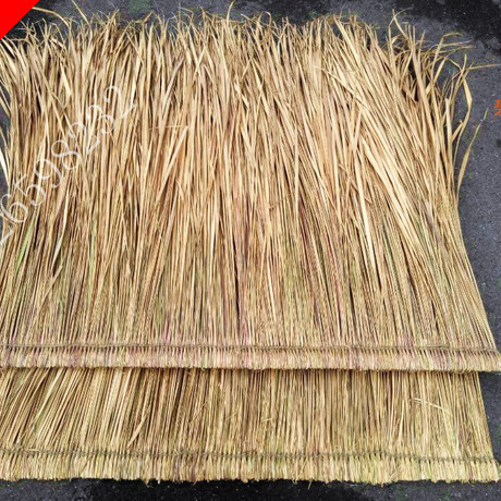 爱逛街为您找到真茅草相关的宝贝,您可以在下面的板块中挑选喜欢的