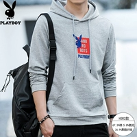 03-H302 (Break Rabbit English)