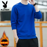 06-PB6029 (английский)