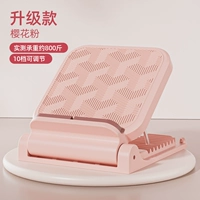 Стандартная модель [дружественная кожа и экологически чистая подушка/10-ступенчатая регулируемая/800 кот с нагрузкой] порошок цветов вишни