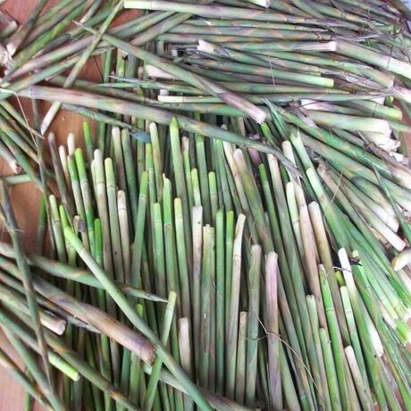 爱逛街为您找到野生竹笋相关的宝贝,您可以在下面的板块中挑选喜欢的