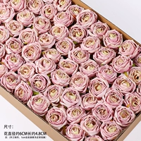5 легких пудру фиолетовых розовых роз