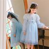 Spring and Autumn Net Sleeve Blue-Princess Skirt