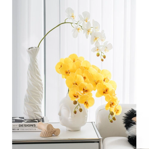 Phalaenopsis поднятие гостиной цветочный букет высокий уровень