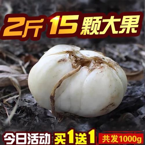 [Всего 2 фунта] Маленький Вэй, Гансу Специальность Ланчжоу Фермеры, выращенная самостоятельно, чистая натуральная сладкая свежая лилия