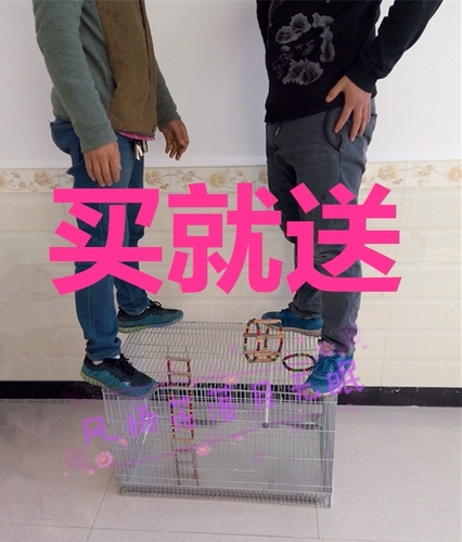 Бесплатная доставка железа и птичья клетки клетки клетки клетки тигров