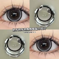 Упаковка из 10 штук] Treasure Gearl Grey 14,5 мм [1 коробка для ношения палочек, 2 коробки для жидкости для глаз]