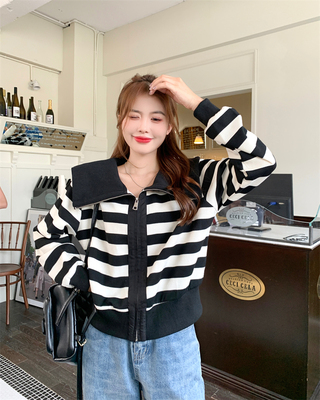 taobao agent Navy short demi-season jacket, sweatshirt with zipper, plus size, fitted
