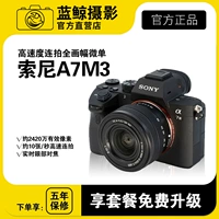 Полнокадровая беззеркальная камера Sony A7M3/A7C.