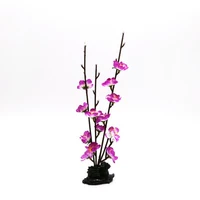 Qishi Cherry Blossom Purple (высота 28 см)