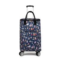 Очень большой кролик, самолет