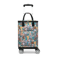 Маленький самолет, кот