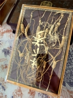 Гинзенд Чанбай Маунтин Шэн Дай Гинзенс Жинень Форест женьшень в течение 20 лет женьшеня лесного женьшеня 15 чистое воскресенье.