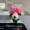 Бабочка Милая собака Рождественская зеленая одежда экран