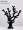 黑色发财树