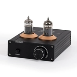 BRZHIFI Fever Electronics Out -Ф -класс Audio Audio Darler имеет исходное усилитель