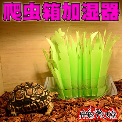Увлажнитель каустера, ящерица Land Turtle Clabing Pet, электричество, увлажнение, защита окружающей среды, летучая влажность, влажность, сырость и ландшафт