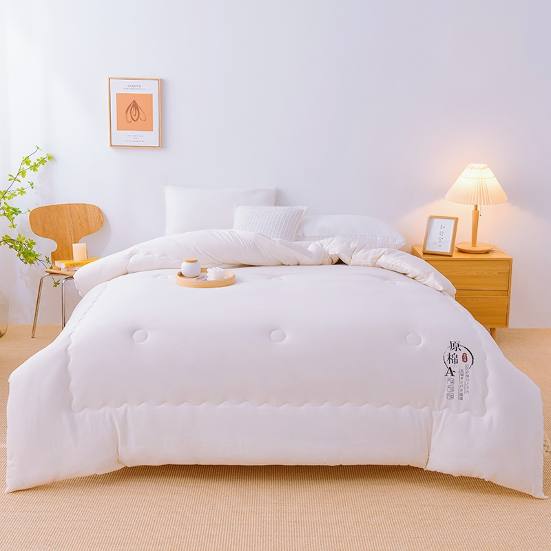 2025新款A类母婴级水洗原棉大豆纤维棉被子空调夏被芯春秋被冬被