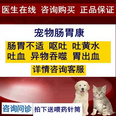 小狗犬猫胃炎狗猫呕吐拉稀吐血便血胃溃疡肠胃炎急慢性肠胃炎8粒