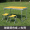 【加固】黄色桌+2布凳