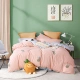 Mercury Home Dệt Cotton Cotton nhuộm sợi Bộ đồ giường đơn giản Cotton tinh khiết Bốn mảnh Set Dứa ngọt 2020 Mới - Bộ đồ giường bốn mảnh