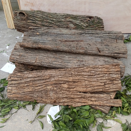 爱逛街为您找到真树皮相关的宝贝,您可以在下面的板块中挑选喜欢的