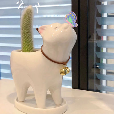 taobao agent New product creative cat tail pot ceramic cute cartoon indoor plant succulent monkey tail pillar cactus flower pot