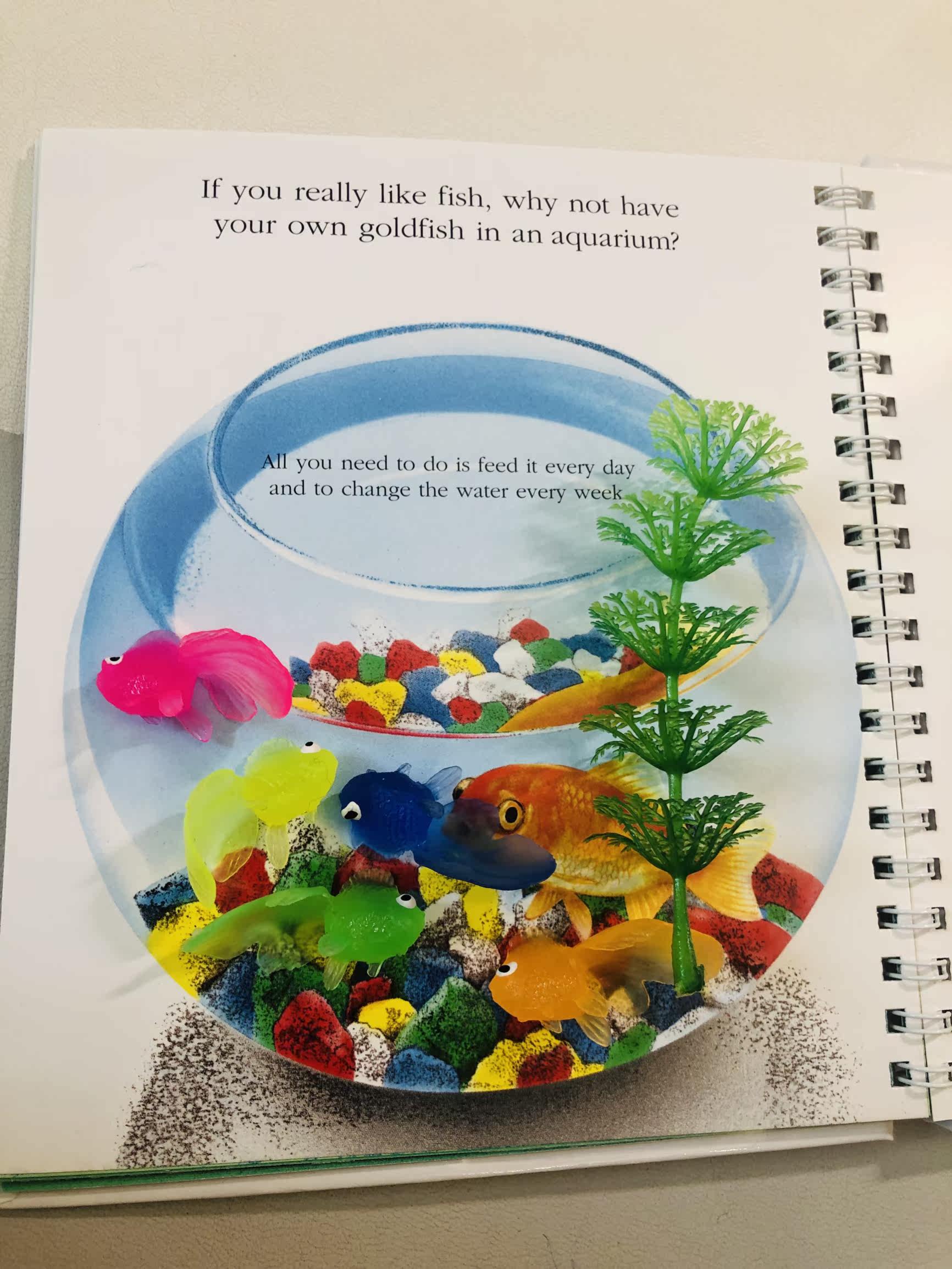 夏旬感 日本塑膠玩具浮水小金魚長尾款混色5只裝撈魚遊戲