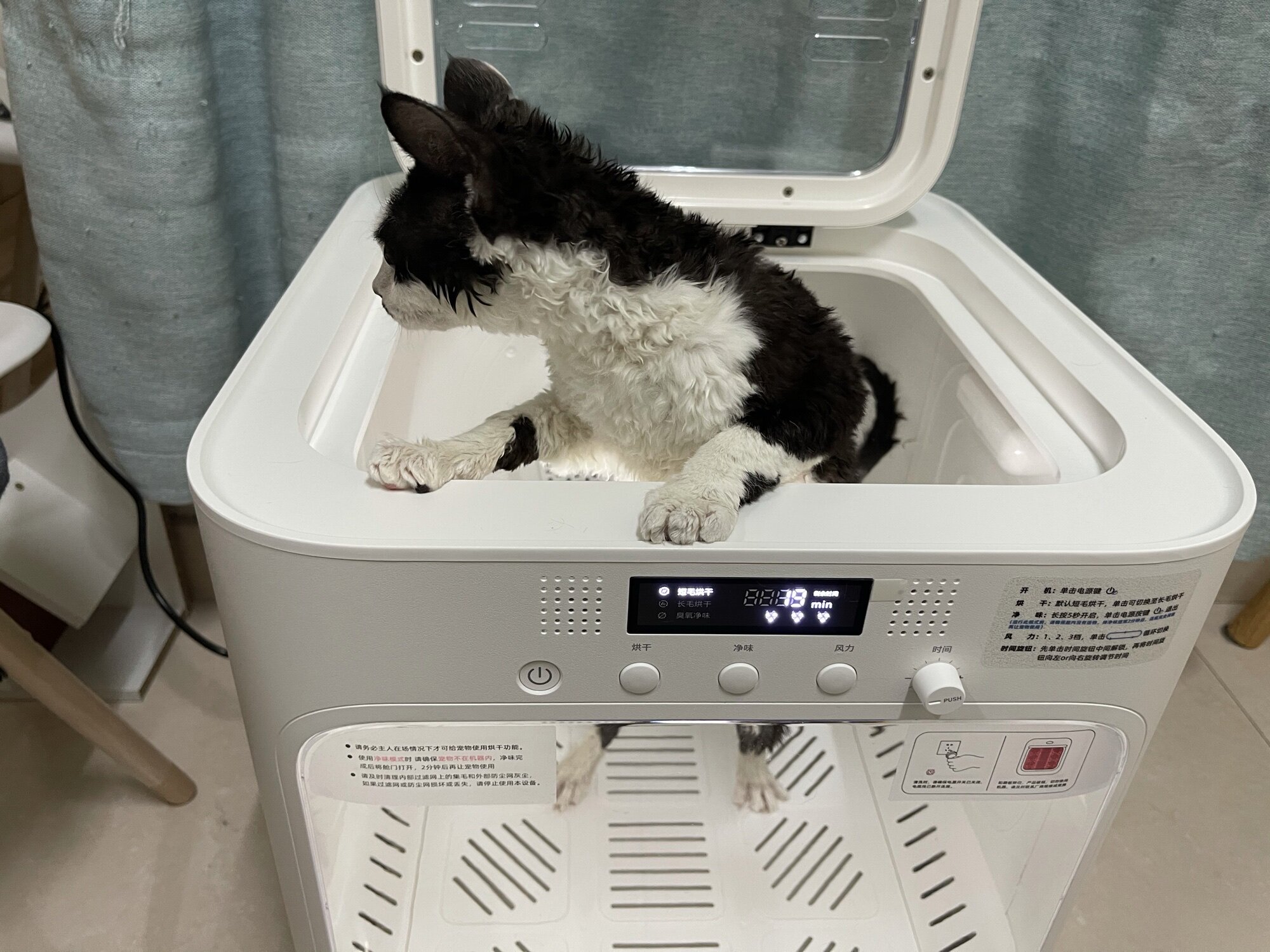 鸟语花香自然风自动宠物烘干箱猫咪洗澡烘干机家用小型吹风吹水机