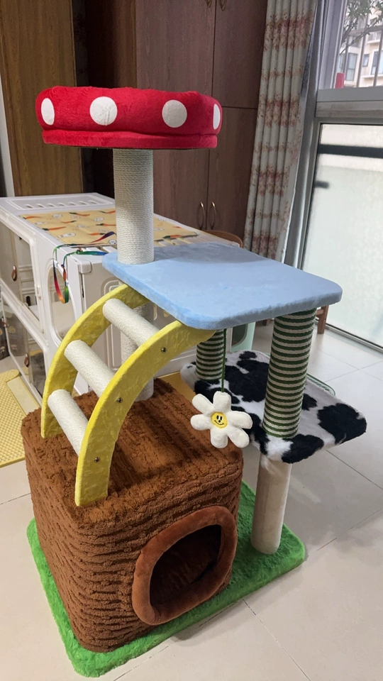 Tmall buyer photo