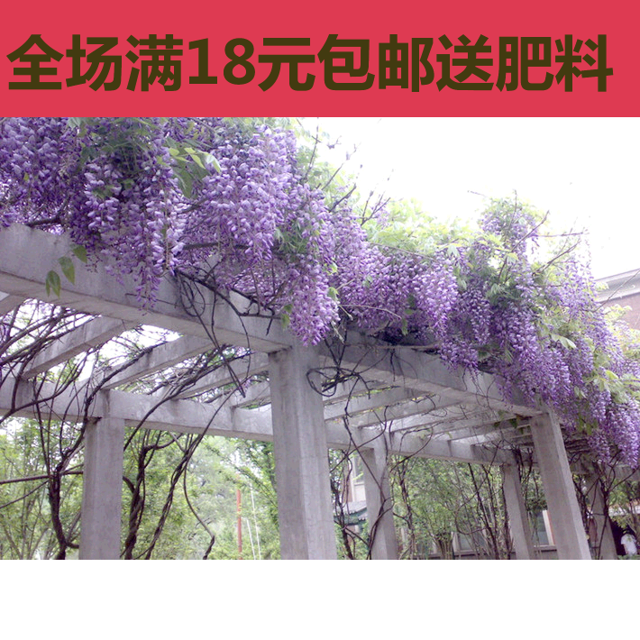 

Цветок Happy flower