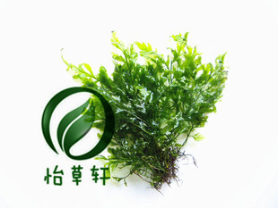 

Yi grass residences 20