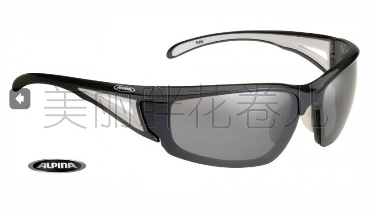 

Защитные очки Metabo+alpina ALPINA 657004000