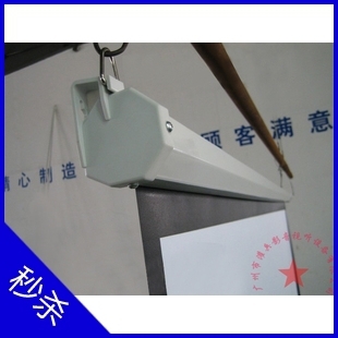 

Экран для проектора 100