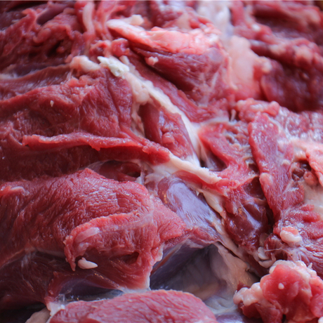 内蒙古呼伦贝尔羔羊肉 包饺子炒菜首选 保证新鲜每天现杀