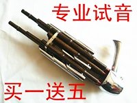 Продвижение бесплатно доставка Sheng Instrument качество звука 14 пружинный тона