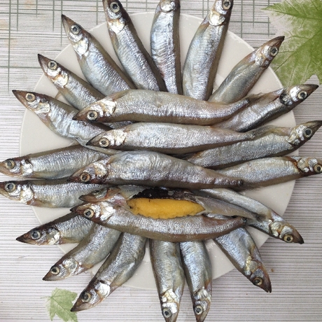 爱逛街为您找到籽鱼相关的宝贝,您可以在下面的板块中挑选喜欢的宝贝