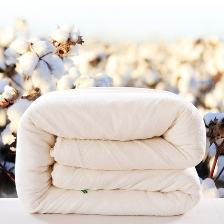 爱逛街为您找到春秋双人被芯相关的宝贝,您可以在下面的板块中挑选