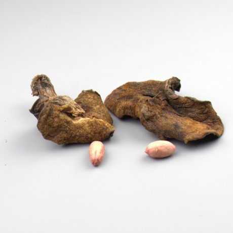 东北野生松蘑松蛾粘蛾子松菇粘团子松峨干蘑菇松娥干货包邮