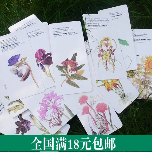 Tagor Flower Language White Card Paper Boop -Marks отправляет учителей для отправки одноклассников 12 фотографий/набор
