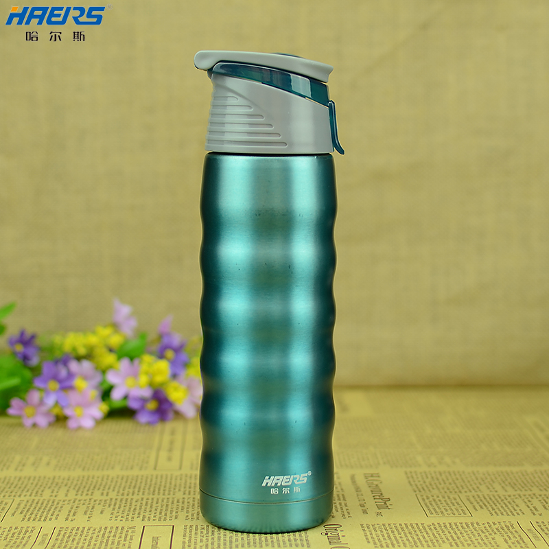 

Термос/термочашка HAERS 480ml