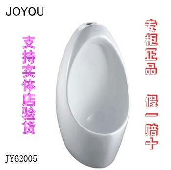 

Писсуары настенные, Напольные The Joyou JOYOU JY62005