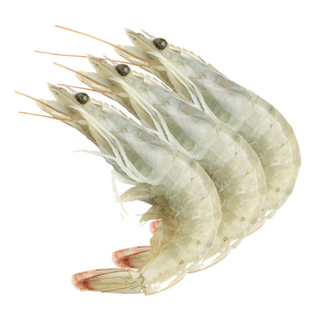 【喵鲜生】厄瓜多尔白虾海虾包邮进口海鲜1.8kg冷冻 - 爱逛街