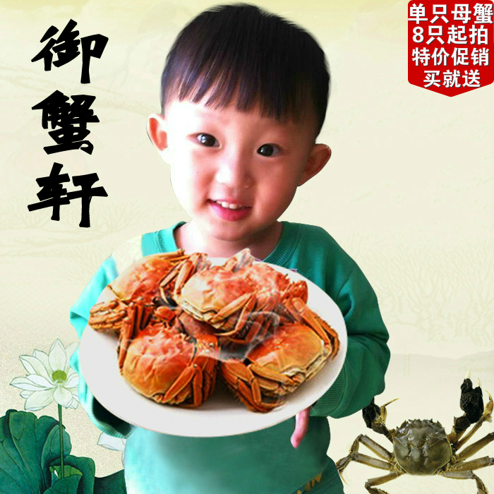 

Yu and crabs Xuan 2.6-3.0