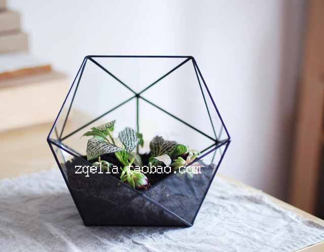 

Цветочный горшок Miumiu meat Pavilion Score+solderl